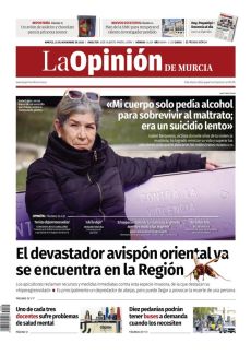 EL DEVASTADOR AVISPÓN ORIENTAL YA SE ENCUENTRA EN LA REGIÓN